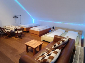 In Villa 56 qm Apartment, 24 h Check-in,free parking